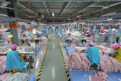 SWEATER-FACTORY-533